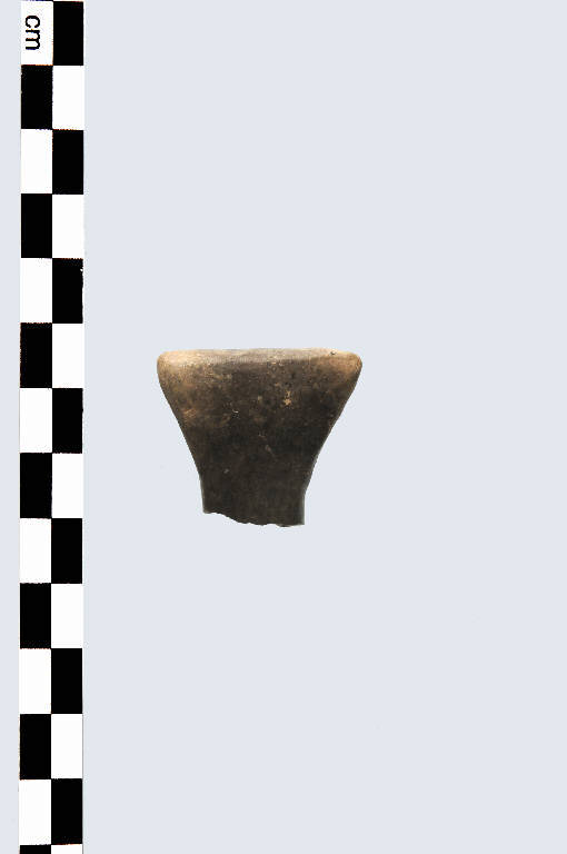 ansa - Cultura palafitticolo-terramaricola (età del Bronzo Medio 1)