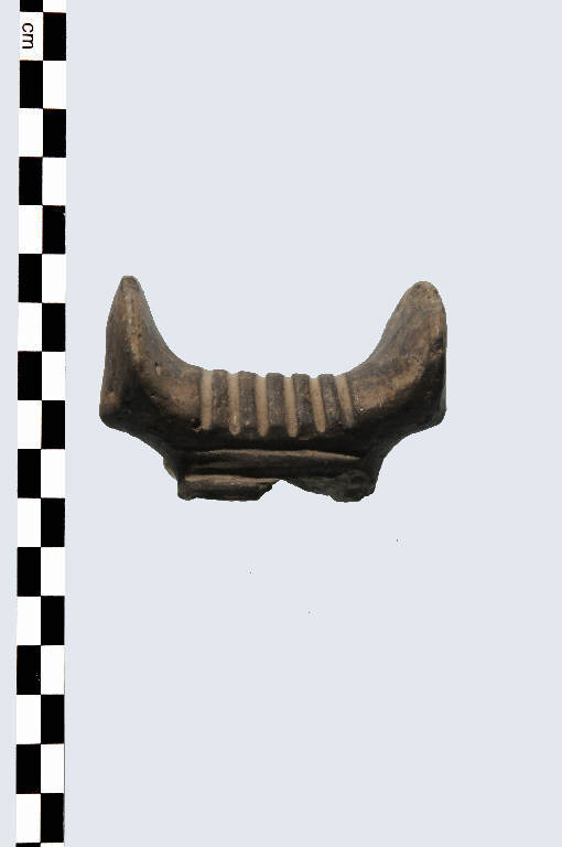 ansa - Cultura palafitticolo-terramaricola (età del Bronzo Medio 2)