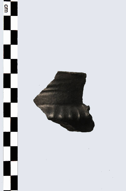 scodella - Cultura palafitticolo-terramaricola (età del Bronzo Recente)