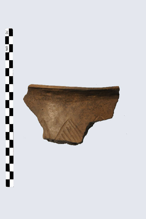 olla - Cultura palafitticolo-terramaricola (età del Bronzo Medio 2)