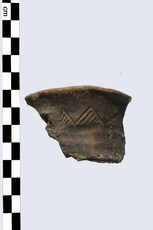 ciotola - Cultura palafitticolo-terramaricola (età del Bronzo Medio 2)