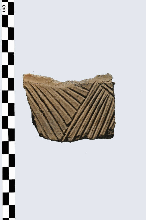 vaso - Cultura palafitticolo-terramaricola (età del Bronzo Recente)