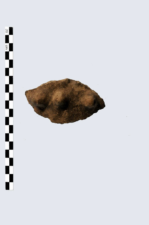 vaso - Cultura palafitticolo-terramaricola (età del Bronzo Medio Recente)