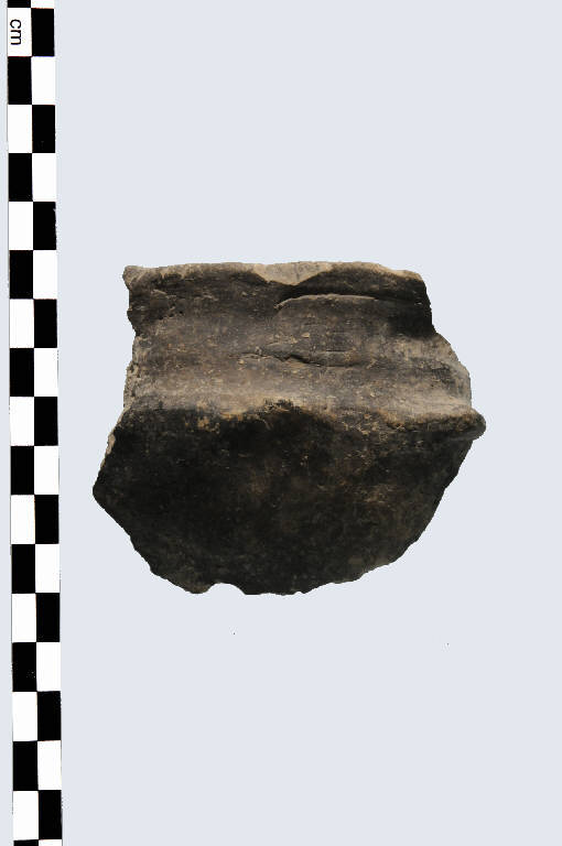 tazzina - Cultura palafitticolo-terramaricola (età del Bronzo Medio Recente)
