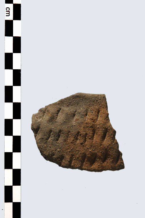vaso - Cultura palafitticolo-terramaricola (età del Bronzo Recente)