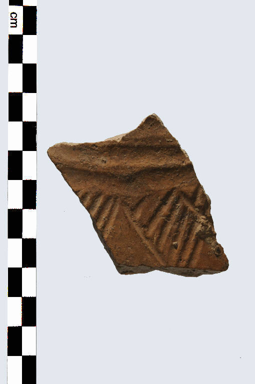 vaso - Cultura palafitticolo-terramaricola (età del Bronzo Medio 2)