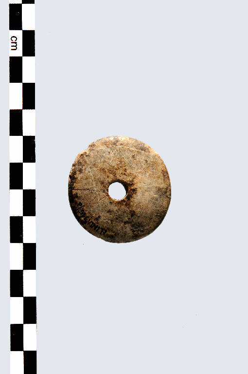 testa di ago crinale - Cultura palafitticolo-terramaricola (età del Bronzo Medio Recente)