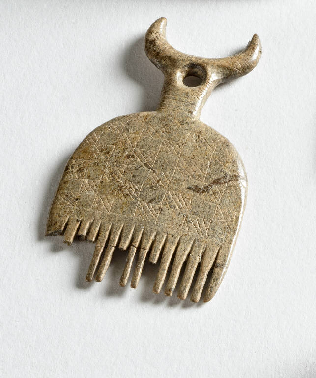 pettine - cultura palafitticolo-terramaricola (Bronzo Medio Recente)