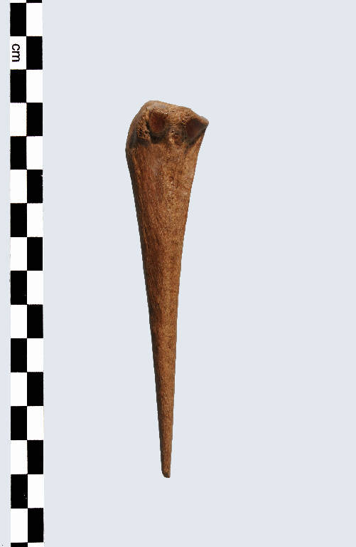 punteruolo - Cultura palafitticolo-terramaricola (età del Bronzo Medio Recente)
