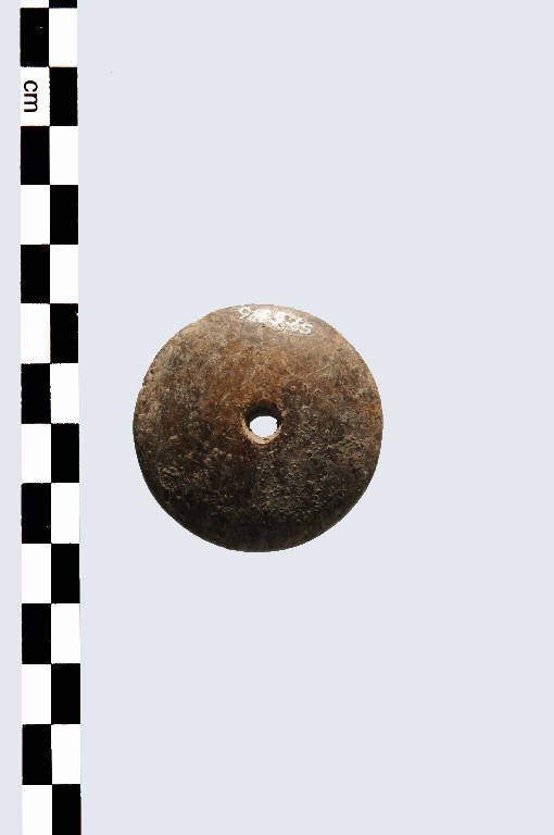 testa di spillone - Cultura palafitticolo-terramaricola (età del Bronzo Medio Recente)