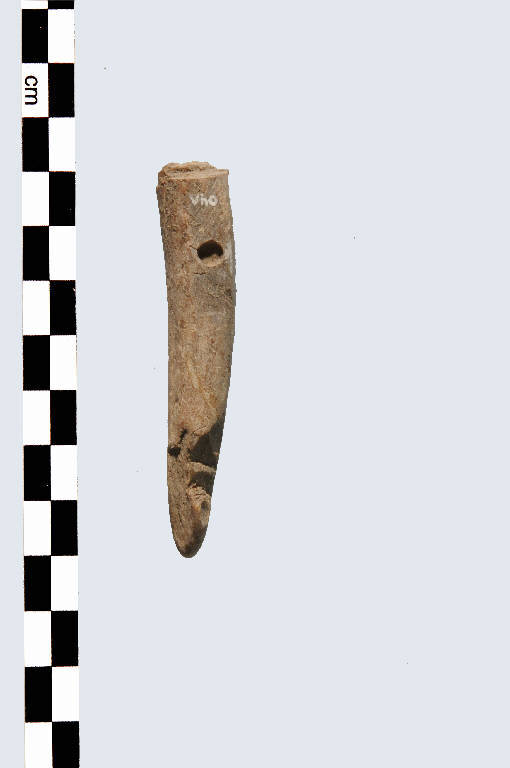 immanicatura - Cultura palafitticolo-terramaricola (età del Bronzo Medio Recente)