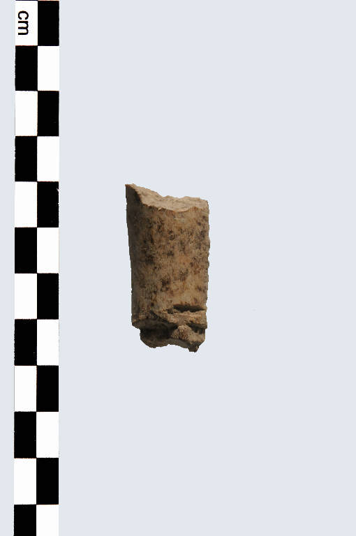 corno - Cultura palafitticolo-terramaricola (età del Bronzo Medio Recente)