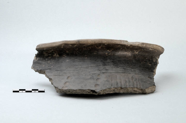 vaso biconico - Cultura palafitticolo-terramaricola (età del Bronzo Medio 2)
