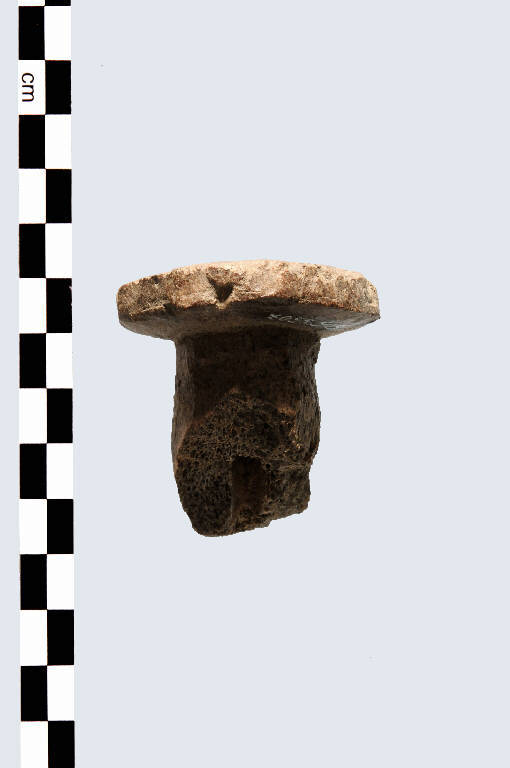 pomolo di pugnale (?) - Cultura palafitticolo-terramaricola (età del Bronzo Medio Recente)