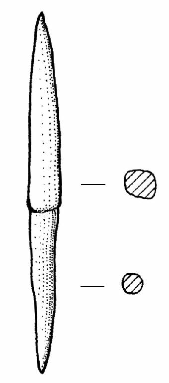 cuspide di freccia (Bronzo Medio I)