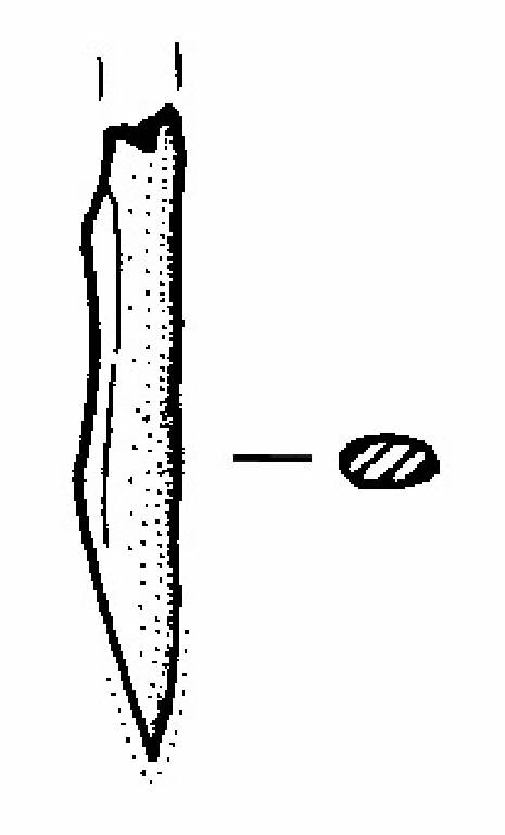 punta (Bronzo Antico IC)