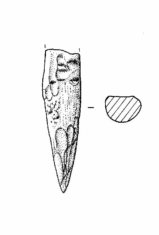 punteruolo (Bronzo Medio II)