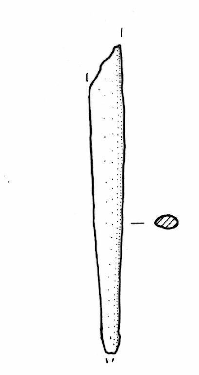 punteruolo (Bronzo Medio I)