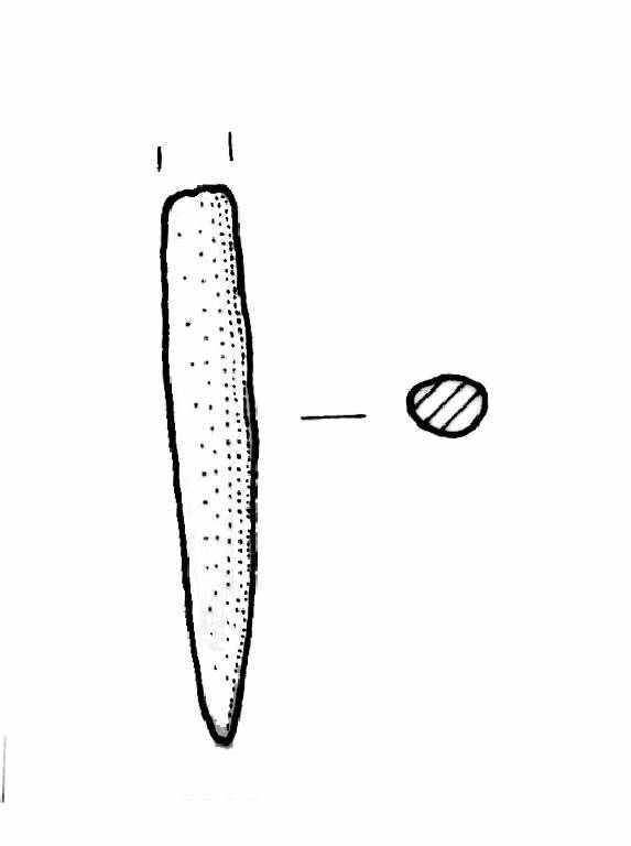 punta diritta (Bronzo Medio I)