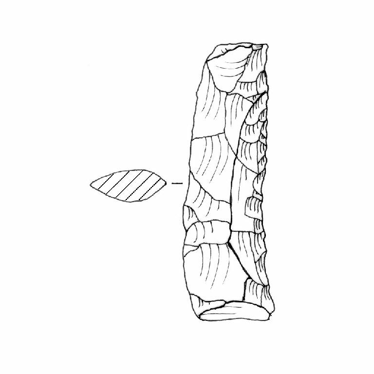 raschiatoio foliato multiplo, F7Ab (Bronzo Medio I)
