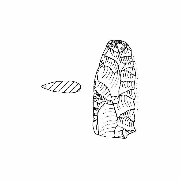 raschiatoio foliato multiplo, F7Aa (Bronzo Medio II)