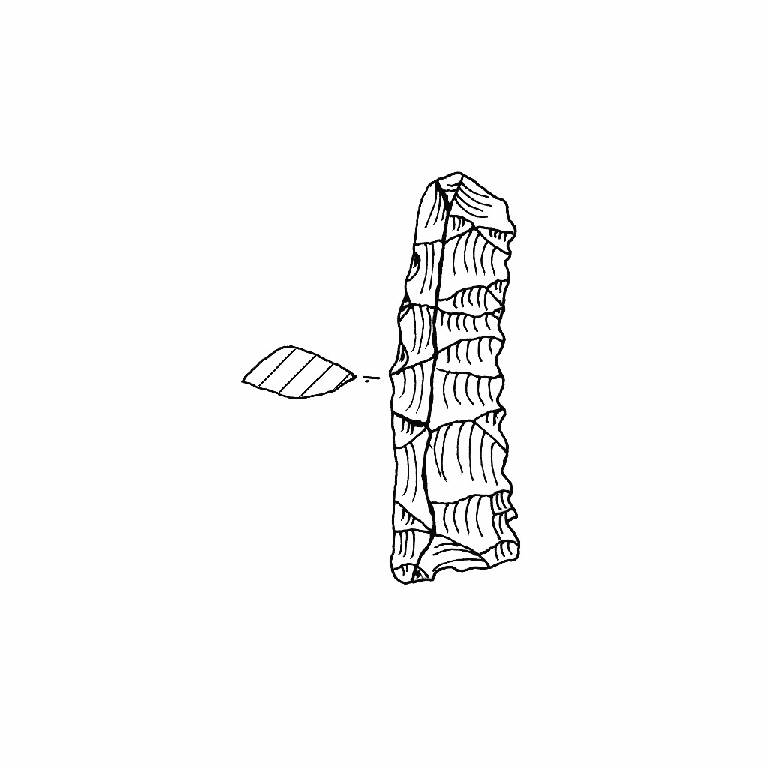 raschiatoio foliato multiplo, F7Ab (fine/inizio Bronzo Antico II/ Medio I)