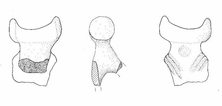 ansa a corna tronche (Bronzo Medio II)