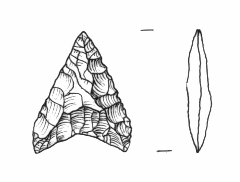 cuspide di freccia, Bagolini, tipo F2Ab (Bronzo Medio I)