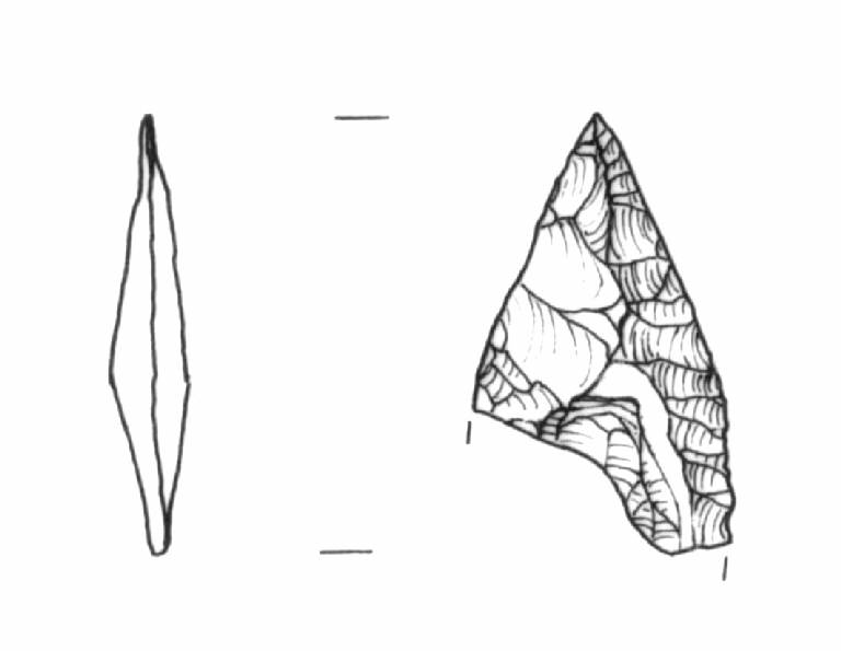cuspide di freccia, Bagolini, tipo F1Ac (Bronzo Medio I)