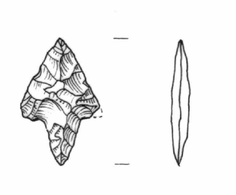 cuspide di freccia, Bagolini, tipo F1Bd (fine Bronzo Antico)