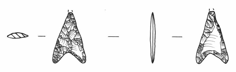 cuspide di freccia, Bagolini, tipo F2Ab (Bronzo Medio I)