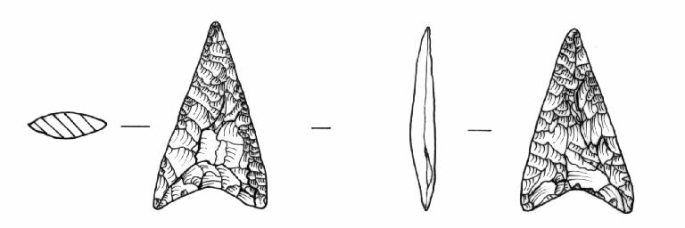 cuspide di freccia, Bagolini, tipo F2Aa (Bronzo Medio)