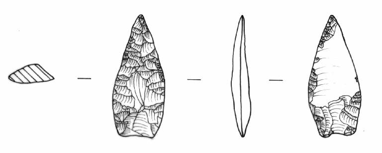 cuspide di freccia, Bagolini, tipo F2Cb (Bronzo Medio I)