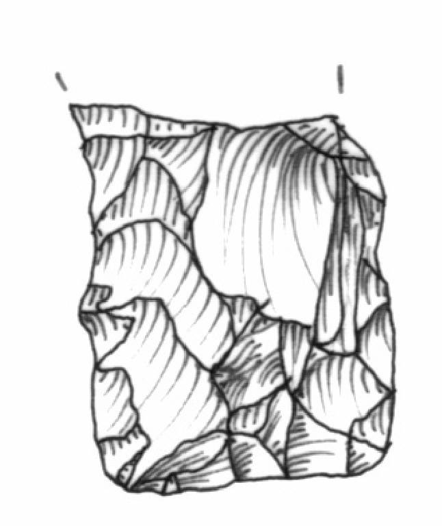 elemento di falcetto, Bagolini, tipo F7Aa (Bronzo Medio II)
