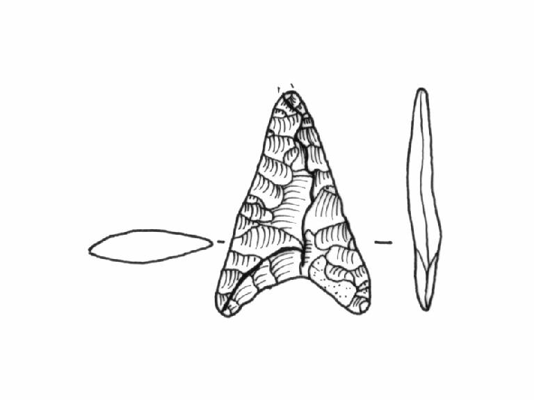cuspide di freccia, Bagolini, tipo F2Aa (Bronzo Medio I)