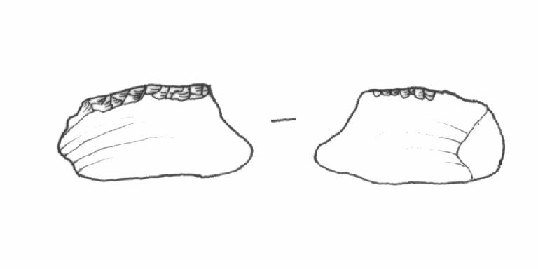 grattatoio frontale corto, Laplace, tipo G3 (Bronzo Antico)