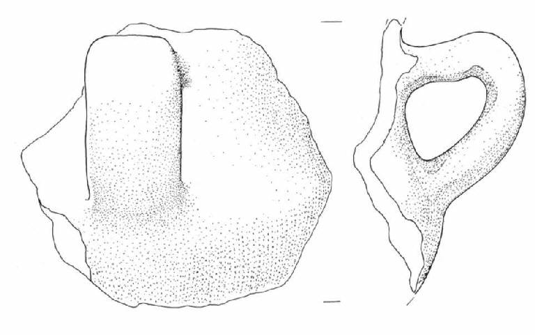 boccale (Bronzo Antico IB)