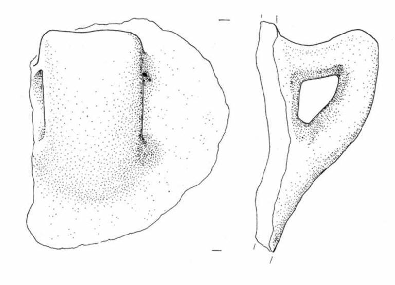 ansa a gomito (Bronzo Antico IB)