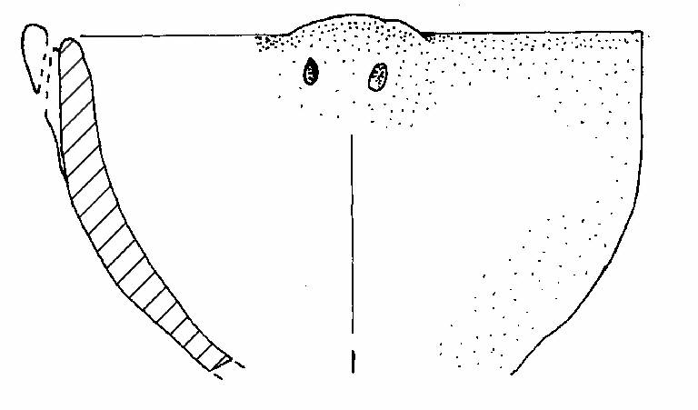 tazza emisferica (Bronzo Antico II)