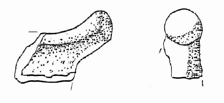 ansa a corna tronche (Bronzo Medio II)