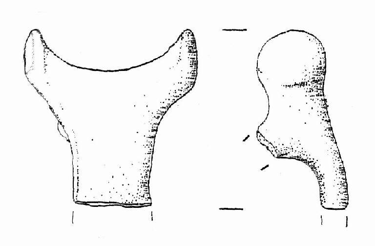 ansa a espansioni laterali (Bronzo Medio II)
