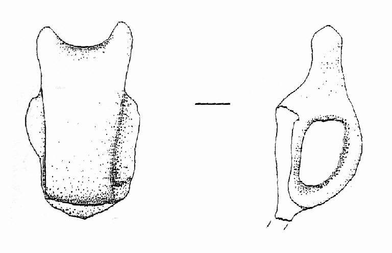 ansa ad appendici verticali (Bronzo Medio II)