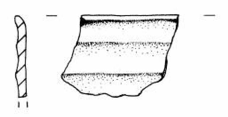capeduncola carenata (Bronzo Medio II)