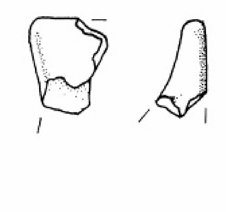 capeduncola (Bronzo Medio II)