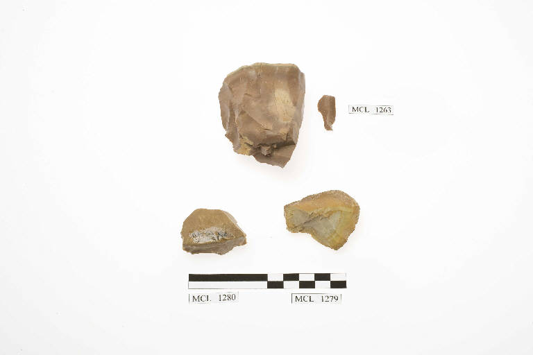 nucleo a lamelle - Paleolitico Superiore/ industria aurignaciana (Paleolitico Superiore)