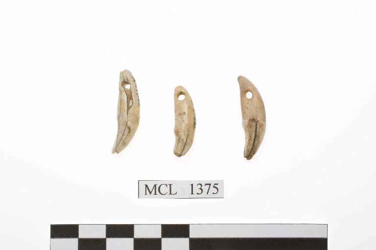denti - età del Rame (mill. III a.C.)