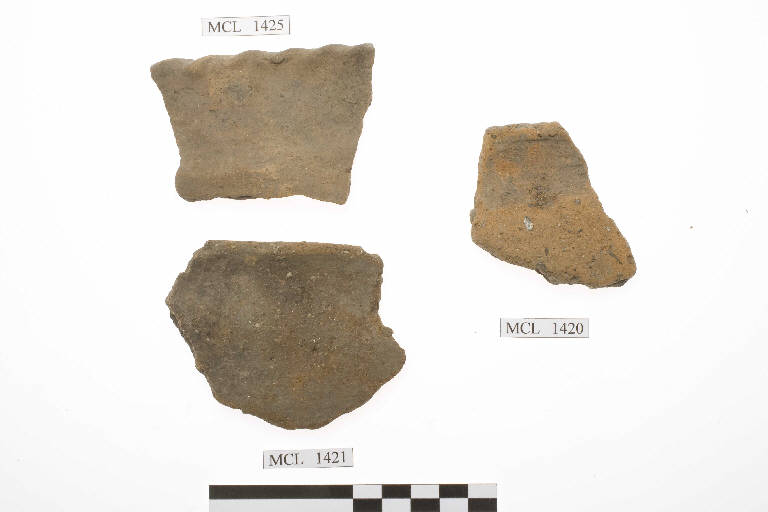 olla/ orlo/ frammento - cultura di Golasecca (sec. VIII a.C.)