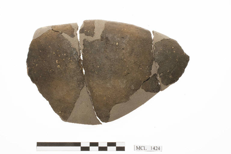 coppa/ orlo - cultura di Golasecca (sec. VII a.C.)