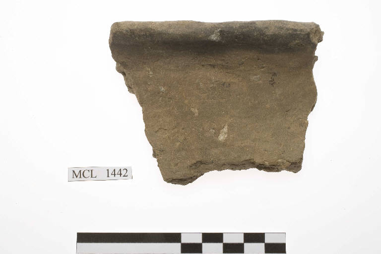 olla/ orlo/ frammento - cultura di Golasecca (sec. IX-VIII a.C.)