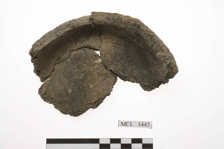 fondo/ frammento - cultura di Golasecca (sec. IX-V a.C.)